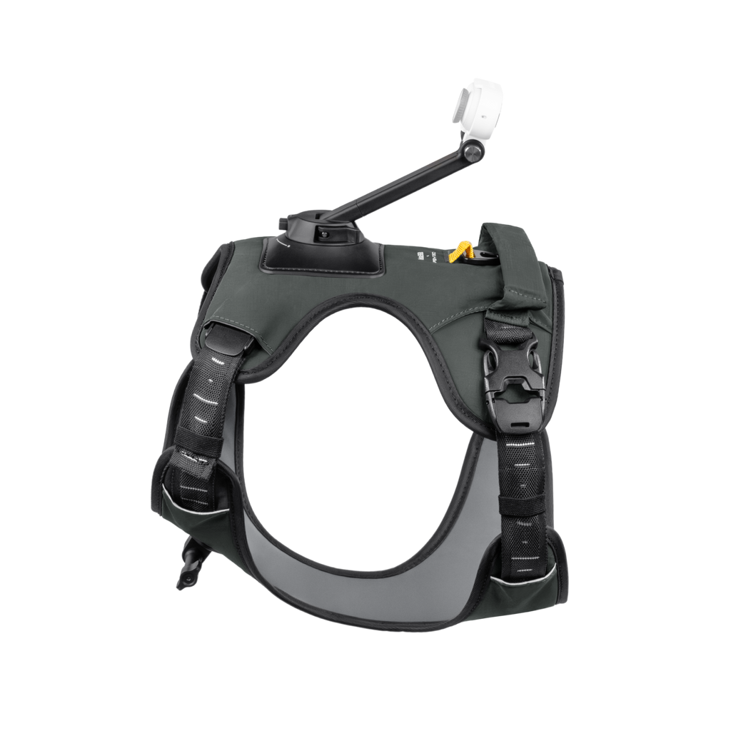 Insta360 寵物背帶支架 L 碼 官方圖片 5