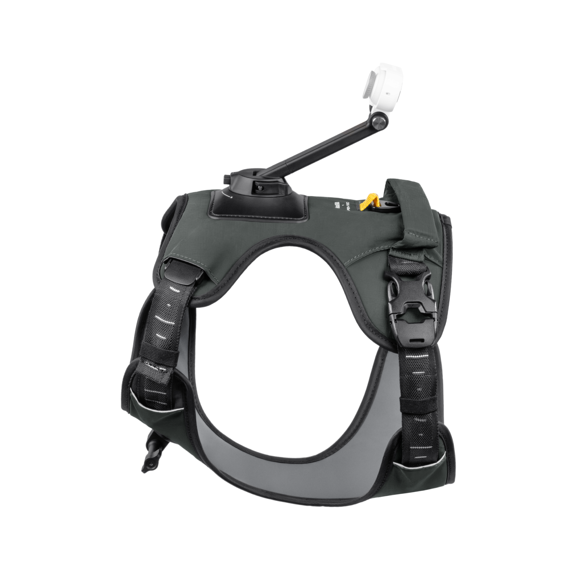 Insta360 寵物背帶支架 L 碼 官方圖片 5