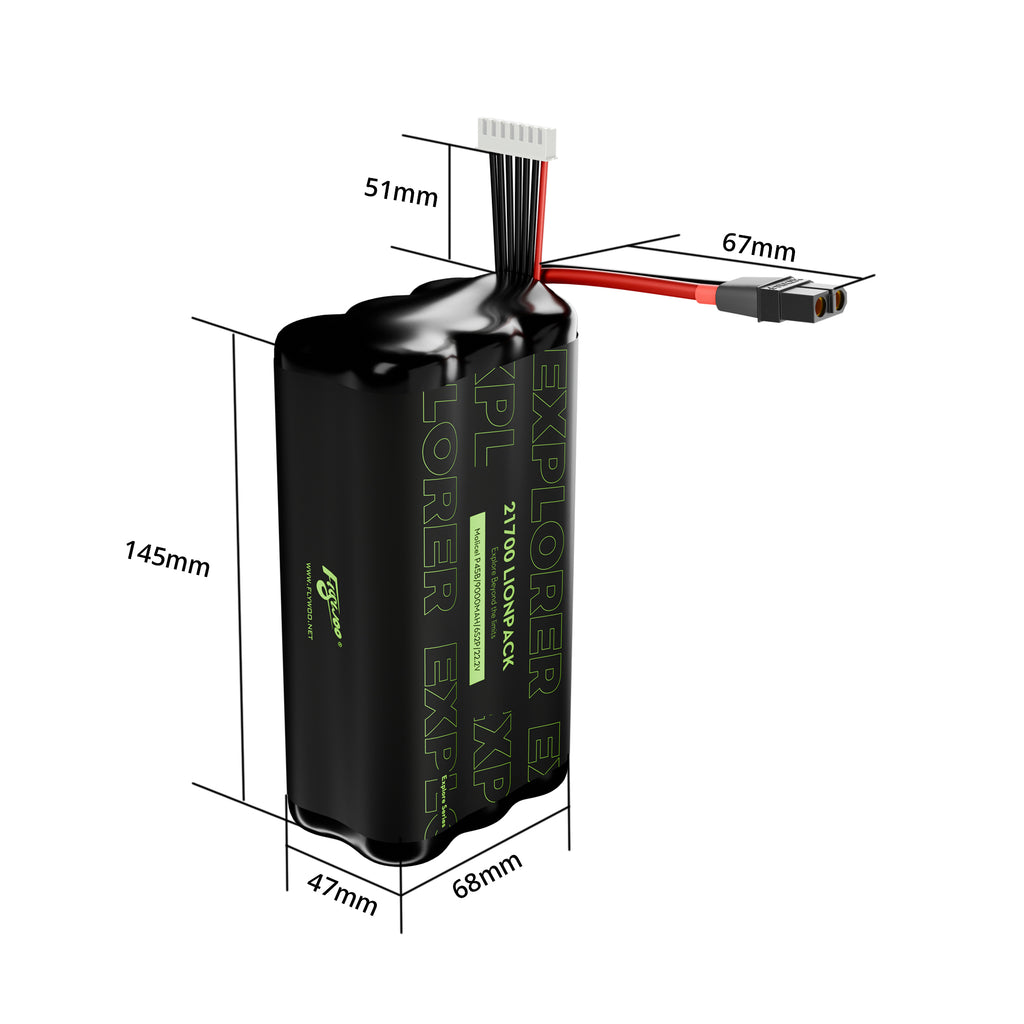 Flywoo Explorer BAK P45D 21700  6S2P 9000mAh Lionpack Battery-FLYWOO
