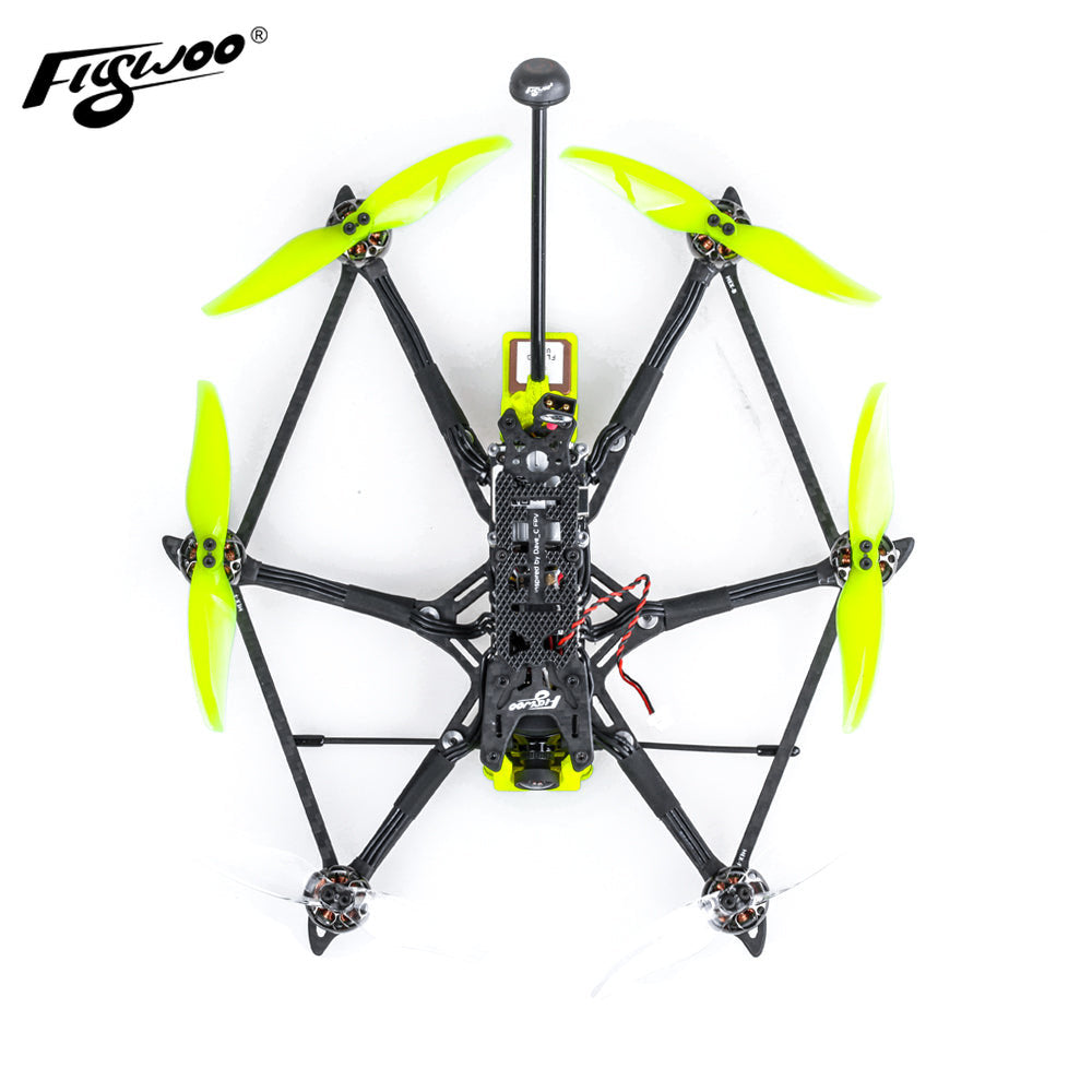 HEXplorer LR 4 4S HD DJI Wasp Hexa-copter Micro long range -FLYWOO