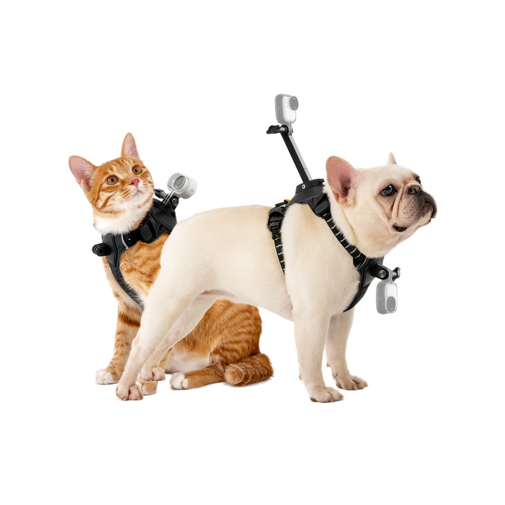 Insta360 寵物背帶支架 S/M 碼 主圖