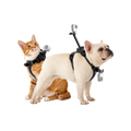 Insta360 寵物背帶支架 S/M 碼 主圖