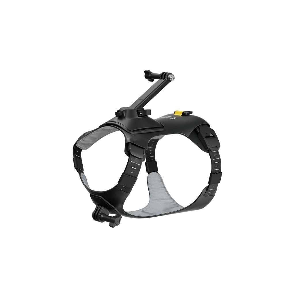 Insta360 寵物背帶支架 S/M 碼 官方圖片 2