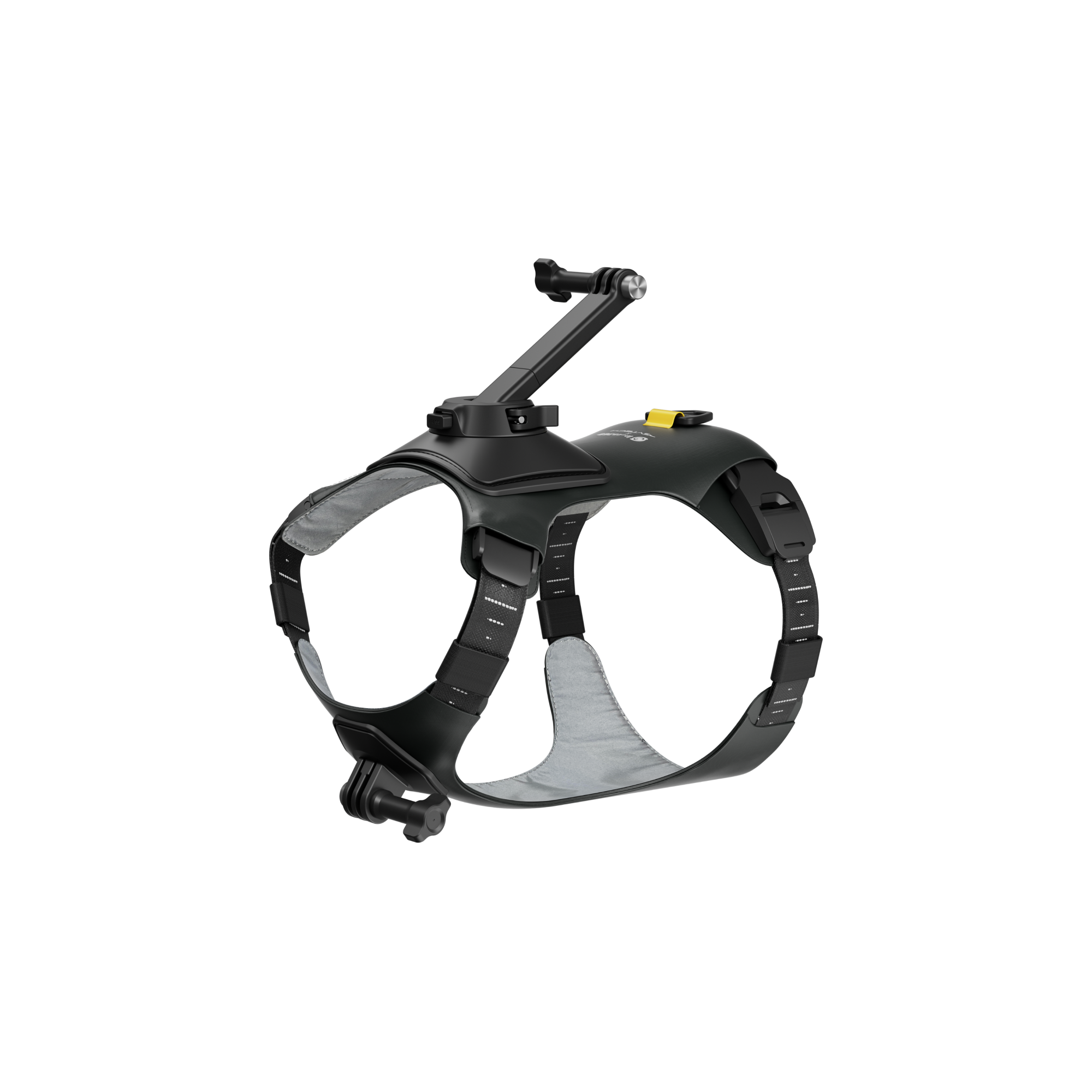 Insta360 寵物背帶支架 S/M 碼 官方圖片 2