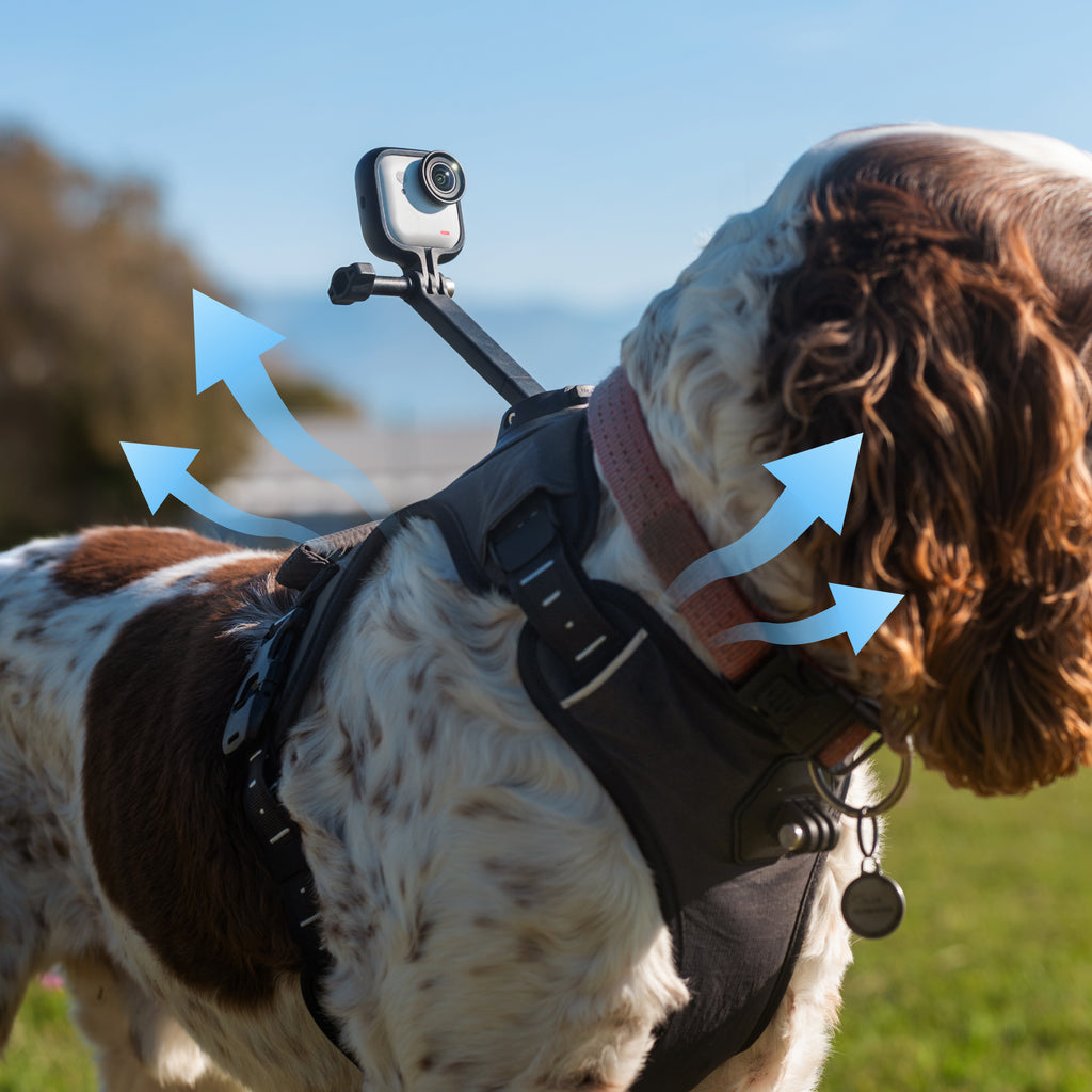Insta360 寵物背帶支架 S/M 碼 官方圖片 4