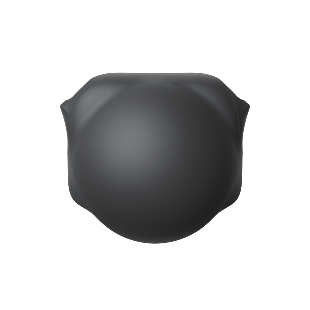 Insta360 X6 鏡頭保護套 官方圖片 2