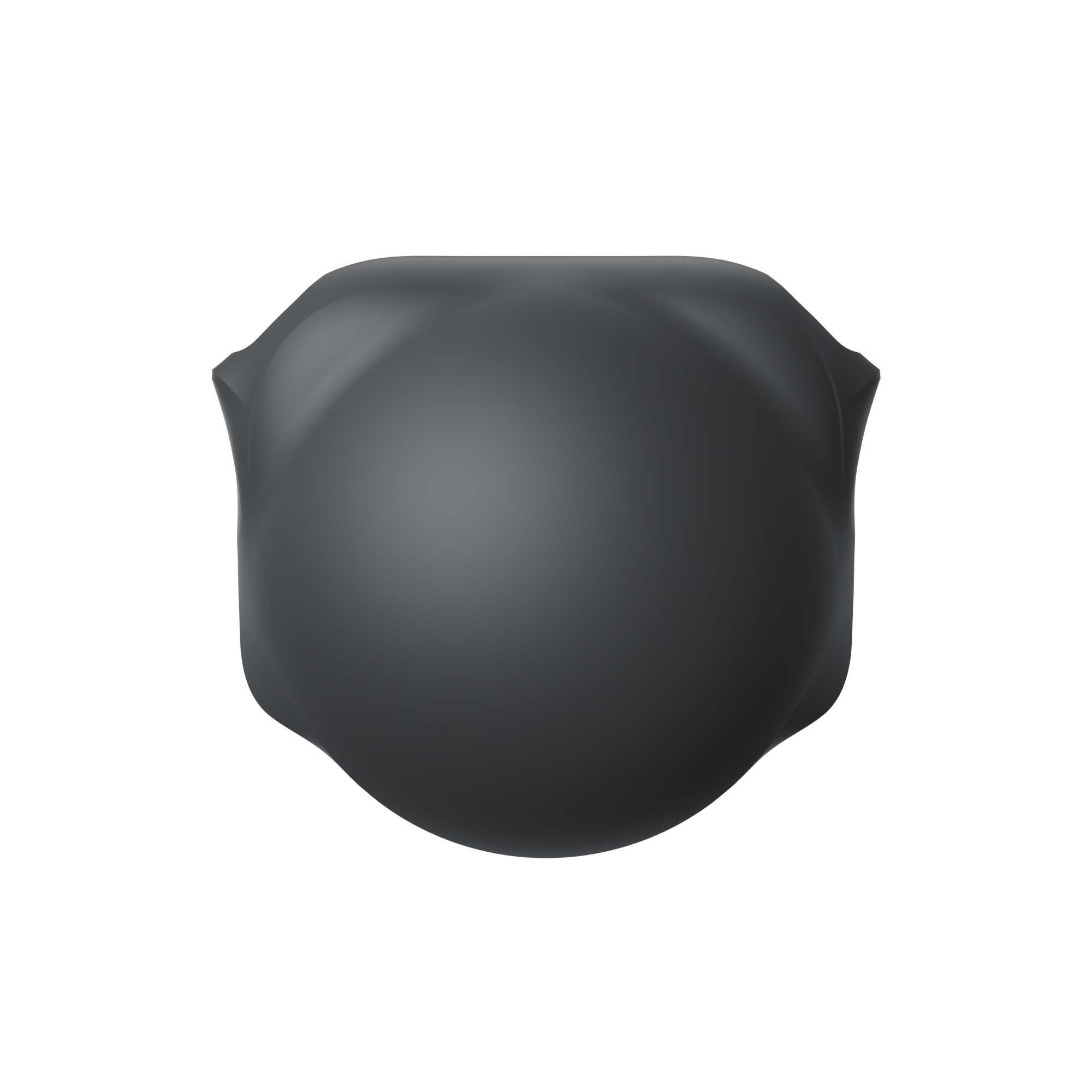 Insta360 X6 鏡頭保護套 官方圖片 2