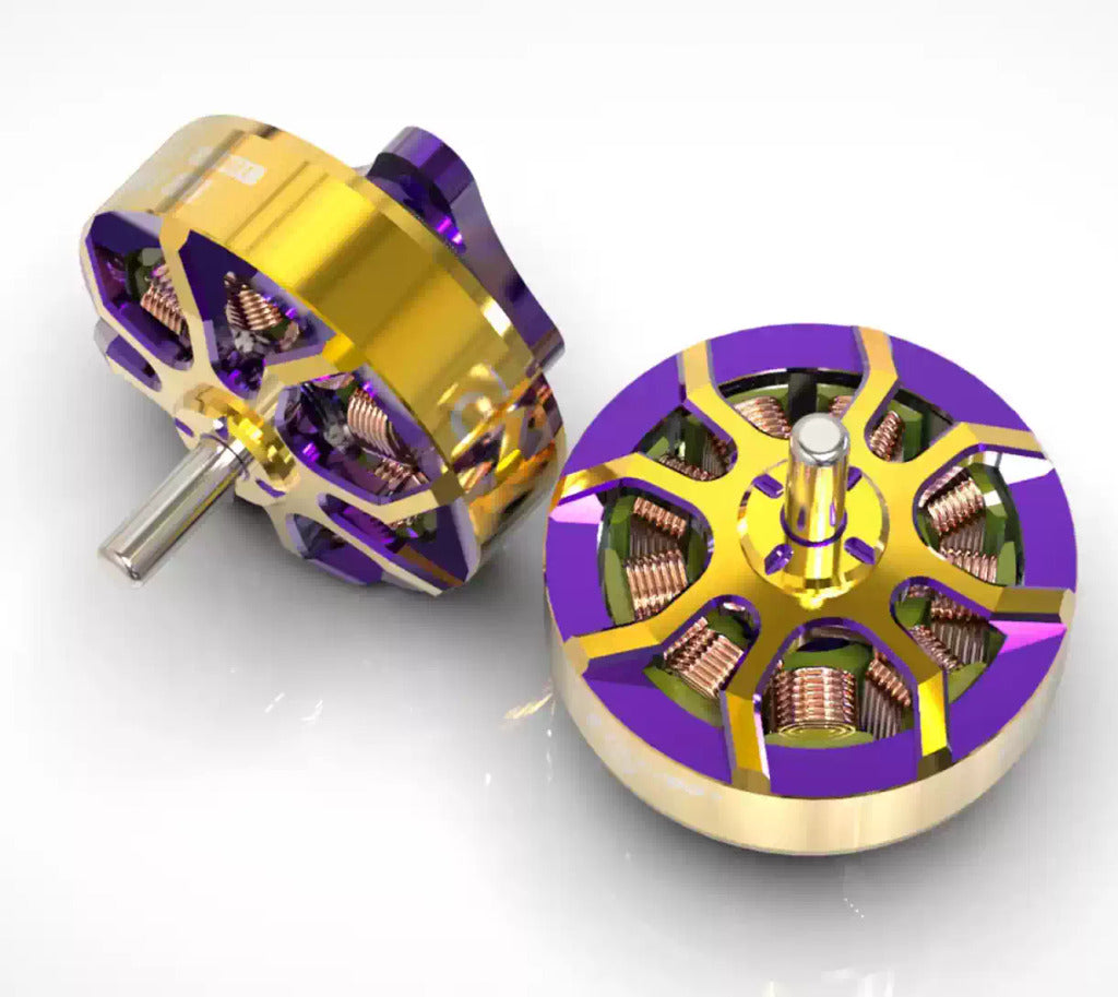 FLYWOO 紫金光環 係列 ROBO RB 1003 1-2S FPV 穿越機 動力電機