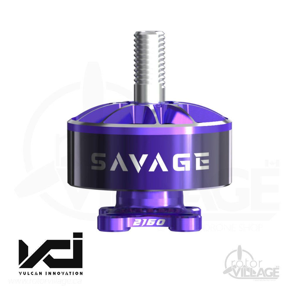 VCI 2207 YUKI SAVAGE 0319更新