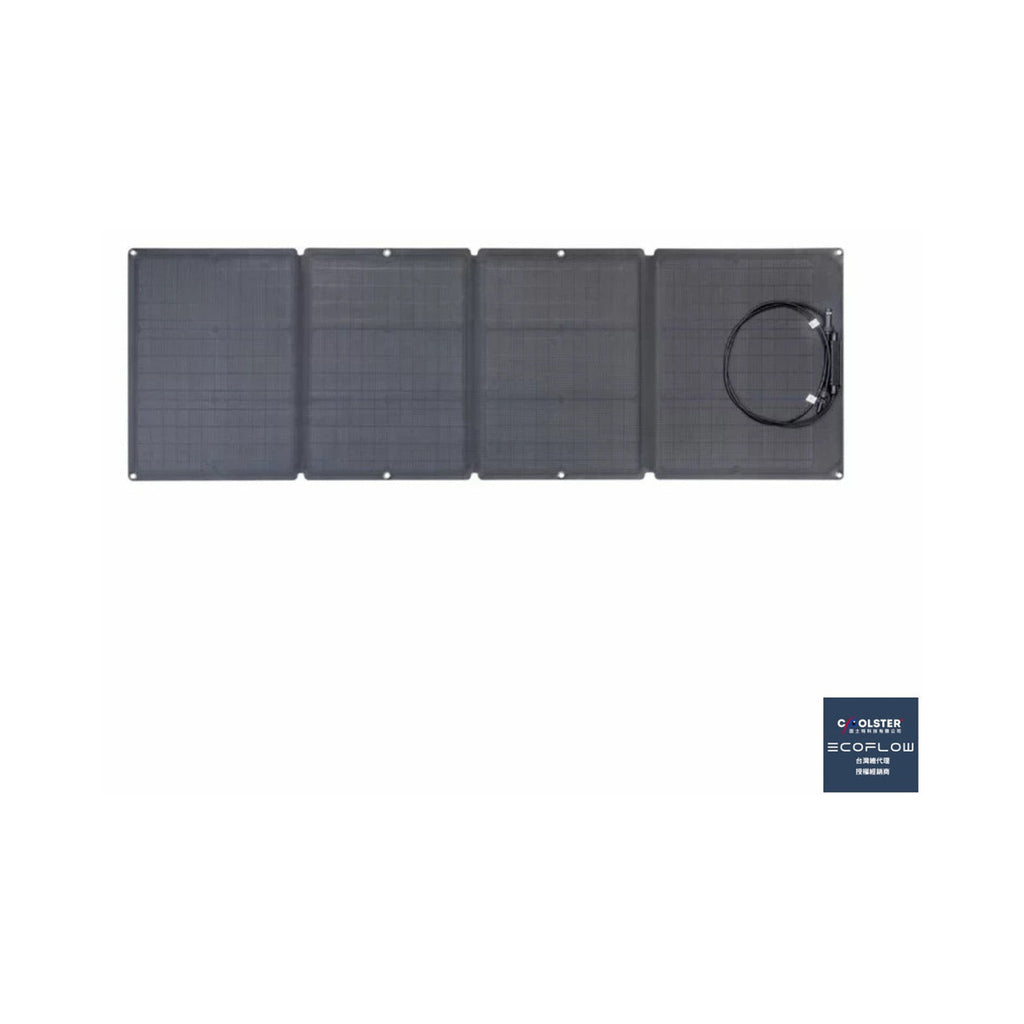 【EcoFlow正浩】110W 太陽能板